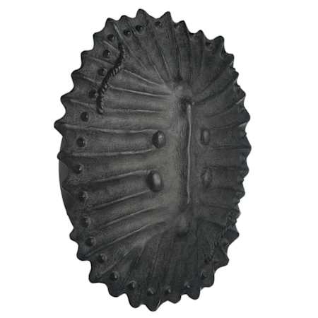 Arteriors Neushoorn 20" Tall Wall Sconce Ebony