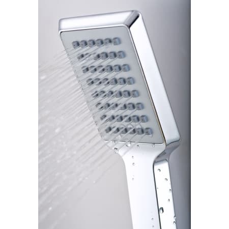 Hand Shower Head View