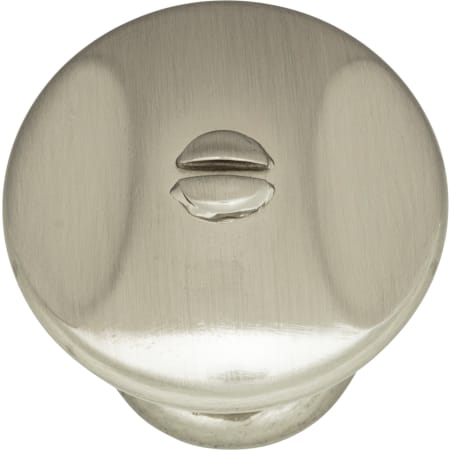 Alternate View
