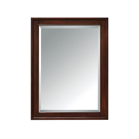 Avanity Madison Collection 32" x 24" Single Door Framed Medicine Cabinet with Beveled Mirror Light Espresso