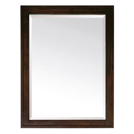 Avanity Madison 28" W x 32" H Rectangular Framed Bathroom Wall Mirror Light Espresso