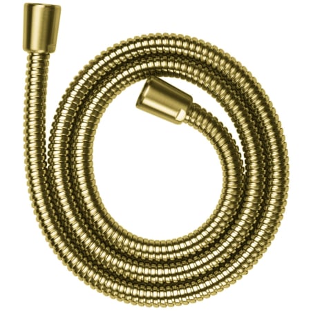 Brushed Gold Optic
