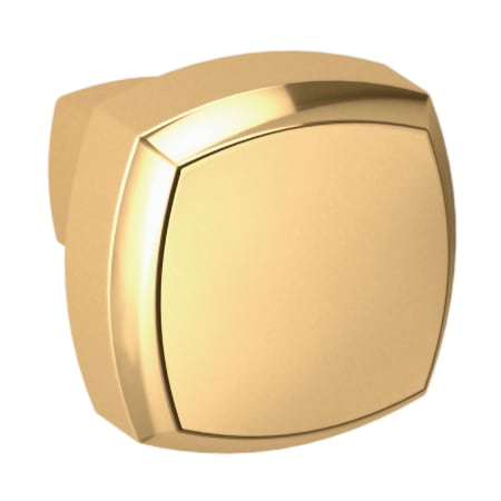 Lifetime Polished Brass