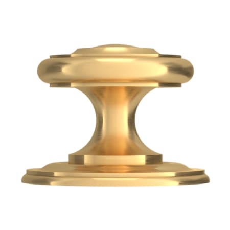 Alternate View