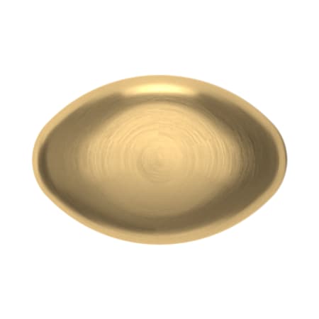 Alternate View