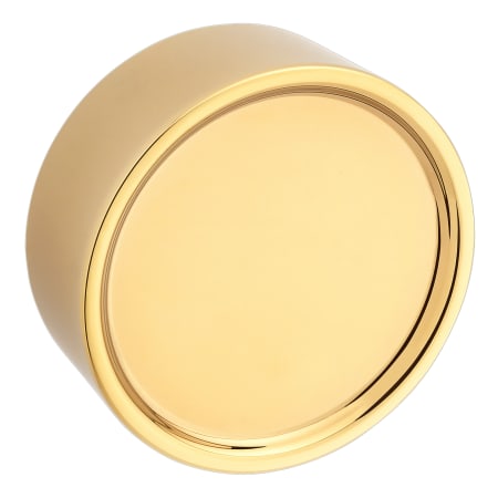 Lifetime Polished Brass