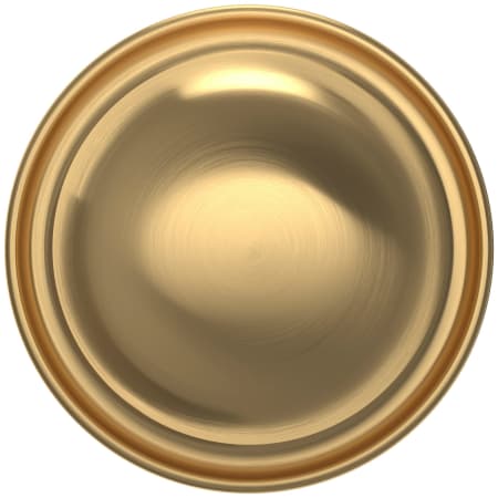Alternate Image