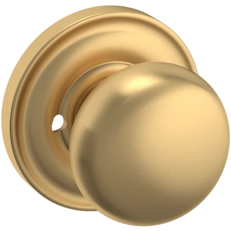 Alternate Image
