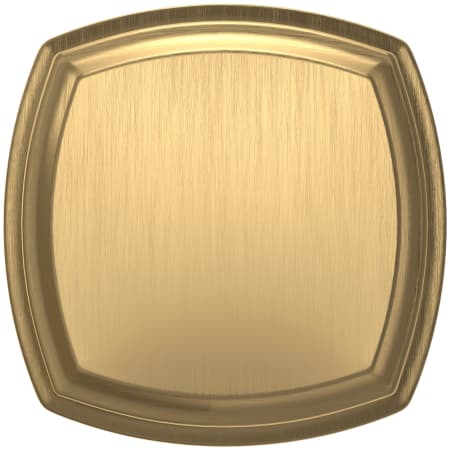 Alternate Image