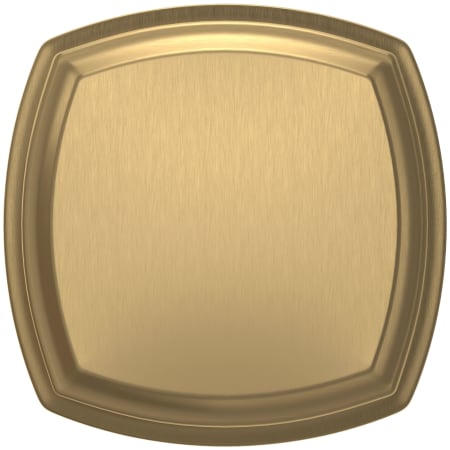 Alternate Image