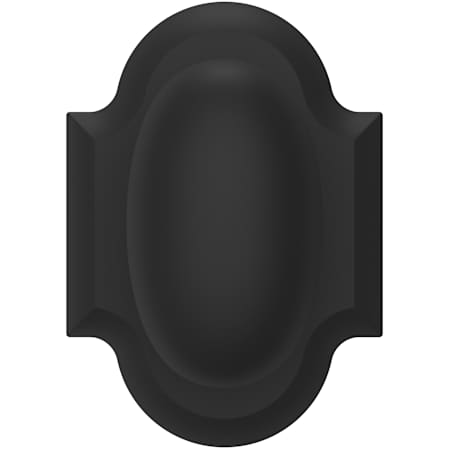 Alternate Image
