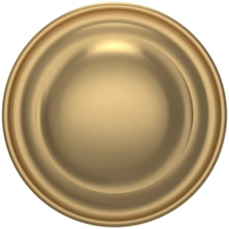 Alternate Image