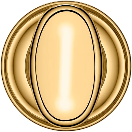 Alternate Image