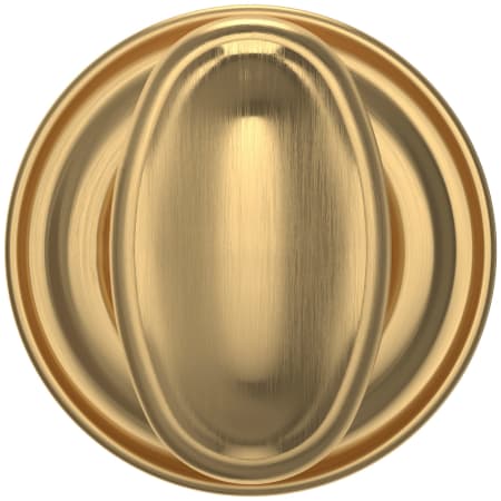 Alternate Image