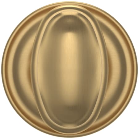 Alternate Image