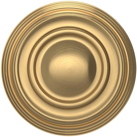 Alternate Image