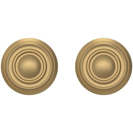 Alternate Image