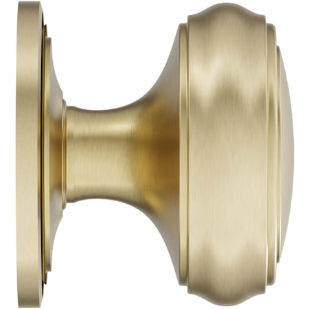 Alternate Image