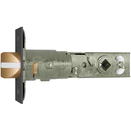 Alternate Image