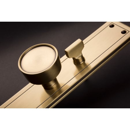 Baldwin-6946.DBLC-Satin Brass and Brown Interior Angle View