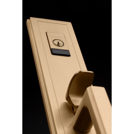 Baldwin-85311.BENTR-Satin Brass and Brown Exterior Angle View