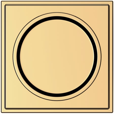 Alternate Image