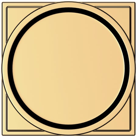 Alternate Image