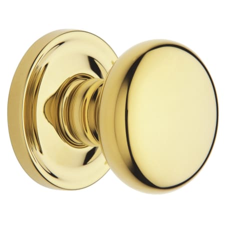 Lifetime Polished Brass