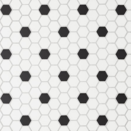 Bedrosians Le Cafe - 1" x 1" Hexagon Floor and Wall Tile - Matte Visual - Sold by Carton (8.4 SF/Carton) White / Black