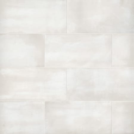 Bedrosians Sample Only of DOLCHA1224 Canvas