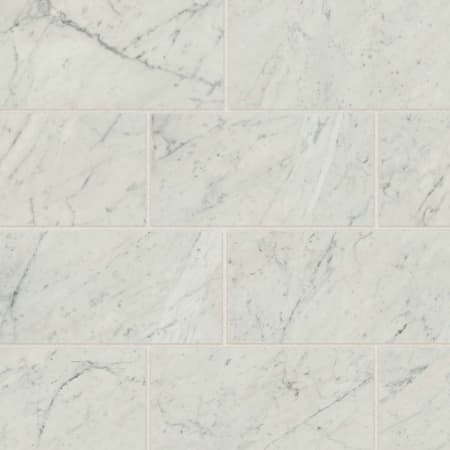 Bedrosians Sample Only of STPCL21224 Bianco Carrara