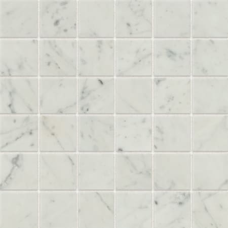 Bedrosians Classic 2.0 - 12" x 12" Square Floor and Wall Tile - Polished Visual - Sold by Carton (9.79 SF/Carton) Bianco Carrara