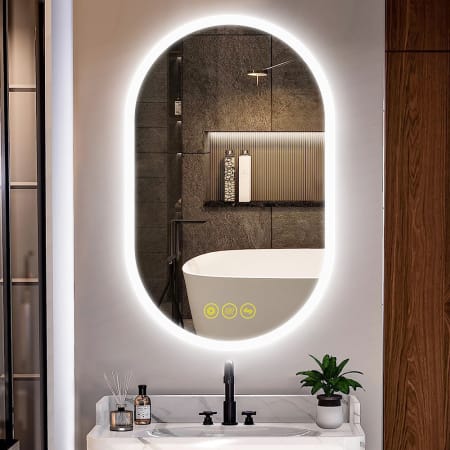 Bellevue Zoe 20" W x 32" H Contemporary Oval Aluminum Frameless Bathroom Wall Mirror with LED Lighting N/A