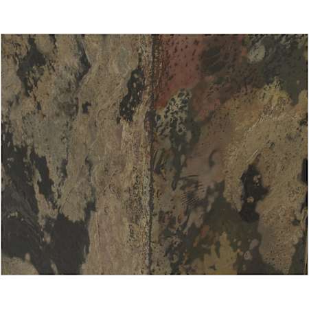 Alternate Image