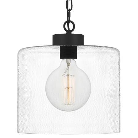Bellevue Della 12" Wide Pendant Matte Black