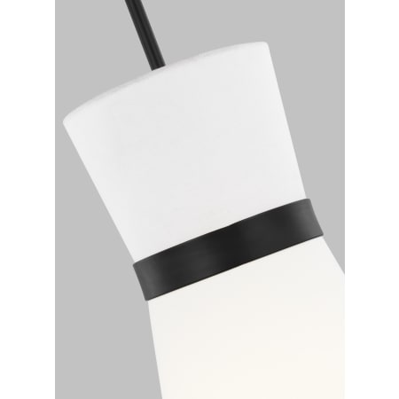 Alternate View