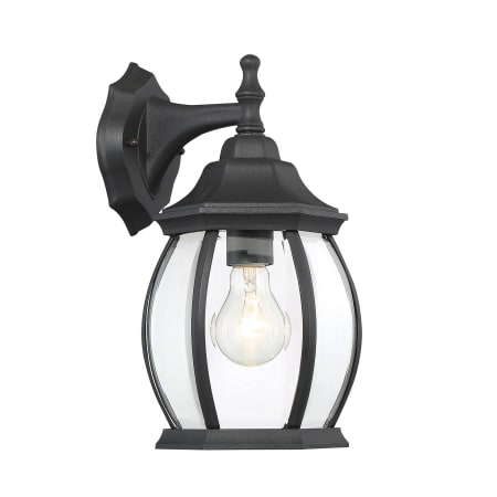 Bellevue 13" Tall Outdoor Wall Sconce Black