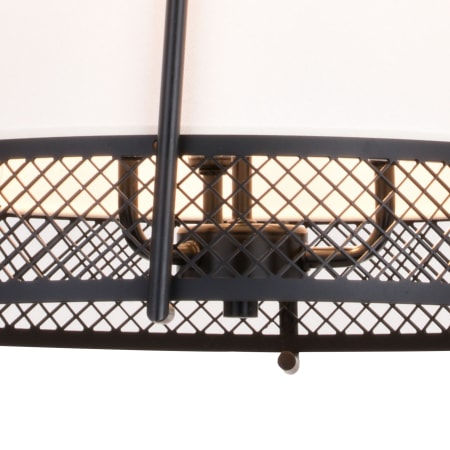 Alternate View