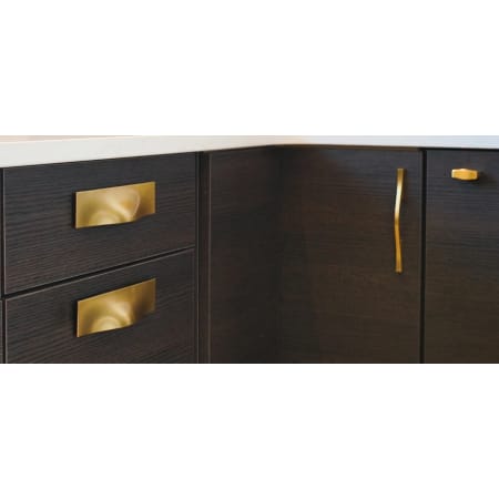 Emerge Lifestyle - Brushed Golden Brass