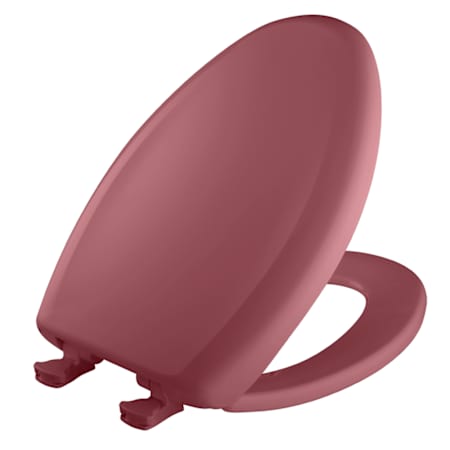 Alternate Image