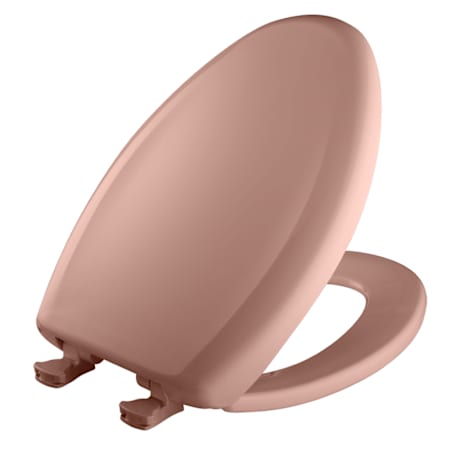 Alternate Image