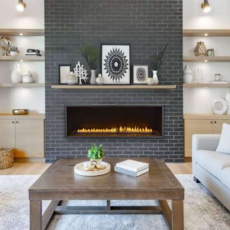 Bluegrass Living Envision 48 Inch Wide 35,000 BTU Vent Free Liquid Propane Fireplace Insert N/A