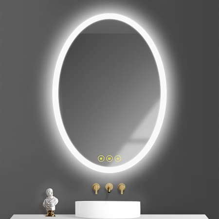 Brio Lighting Zachary 20" W x 28" H Contemporary Oval Aluminum Frameless Bathroom Wall Mirror with LED Lighting N/A