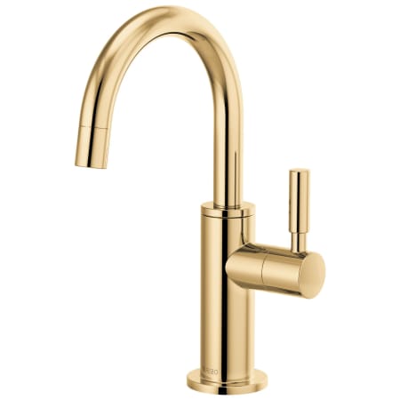 Brizo Odin 1.5 GPM Cold Only Water Dispenser Beverage Faucet - RO Compatible Polished Gold