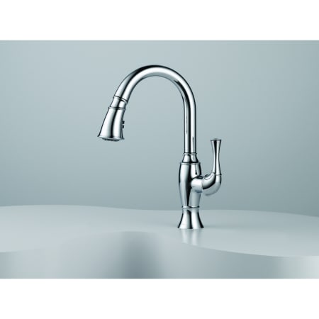 Installed Faucet in Chrome