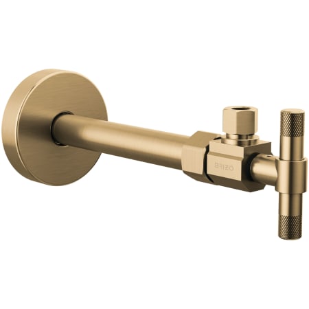 Brizo Litze Angled Supply Stop Valve with Knurled T Lever Handle - Less Supply Line Luxe Gold