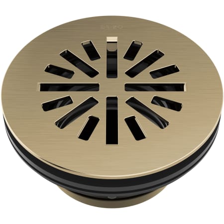 Brizo 4" Prefab Round Shower Drain Luxe Gold