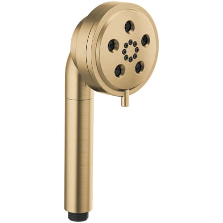 Brizo Essential 1.75 GPM Multi Function Hand Shower Luxe Gold