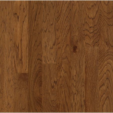 Bruce Sample Only of HEHK84 Falcon Brown