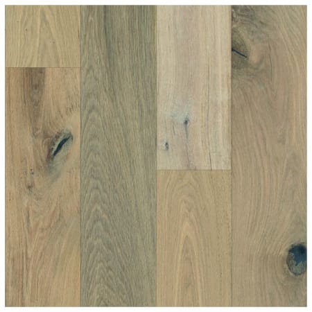 Bruce Sample Only of EK7MC702W Minimalist Dream